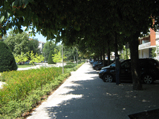 La pista ciclabile di Viale IV Novembre