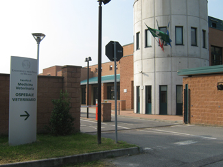 L'entrata dell'Universit�
