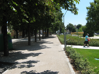 La pista ciclabile di Viale IV Novembre