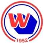 logo della wasken boys