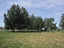 Parco Valgrassa 