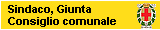 banner di link alla pagina del sindaco
