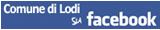 banner di link al canale facebook di lodi