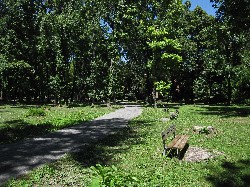 Parco Isola Carolina 