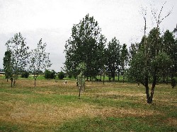 Parco Valgrassa 