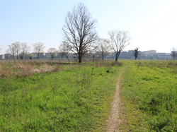 il parco del pulignano