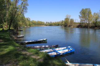 Foto varie del fiume adda