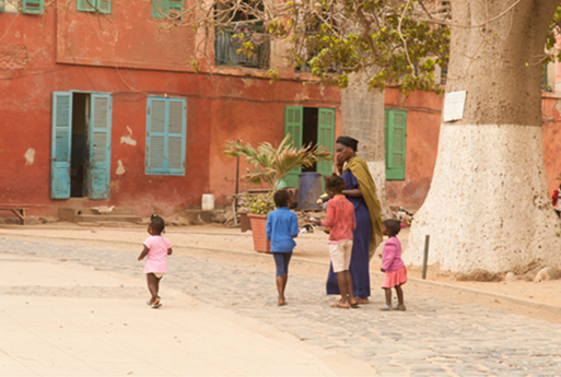 immagine del SENEGAL