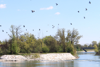 Foto varie del fiume adda