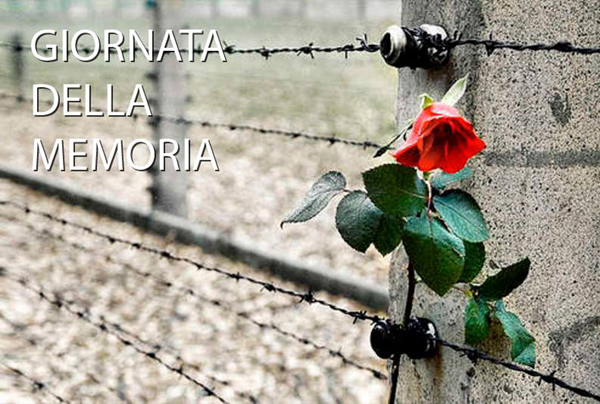 immagine di tratto di recinzione di un campo di sterminio, con una rosa