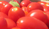 pomodori