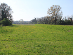 il parco del pulignano