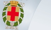 Stemma del comune sfondo argento