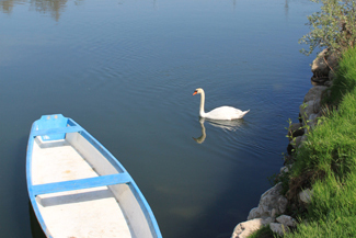 Foto varie del fiume adda