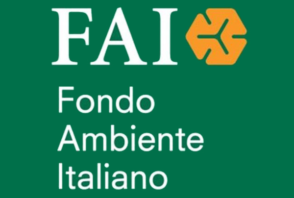 logo FAI