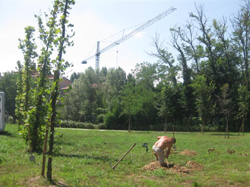 I giardinieri al lavoro al parco del Olmo