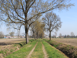 il parco del pulignano