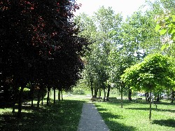 Parco della Solidarietà