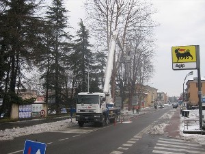 Addetti all'abbattimento al lavoro