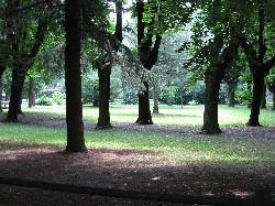 Parco Villa Braila 