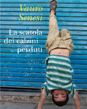 "La scatola dei calzini perduti" copertina