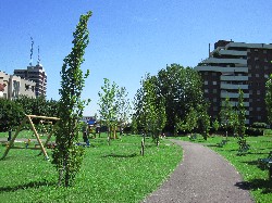 Parco di Via Grandi