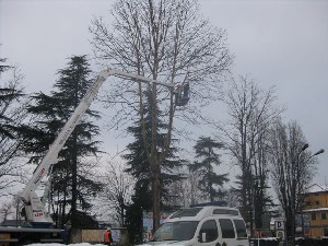 Addetti all'abbattimento al lavoro