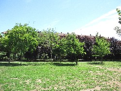 Parco della Solidarietà