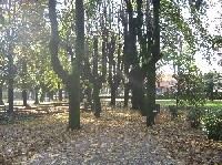 Villa Braila