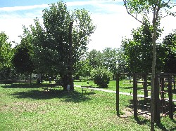 Parco della Solidarietà