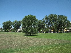 Parco delle Caselle