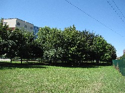 Parco delle Caselle