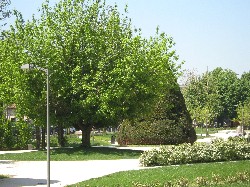 Giardini Barbarossa 