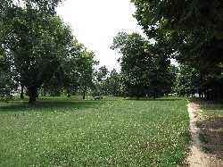 Parco di Via Pergolesi