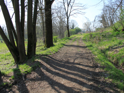 il parco del pulignano