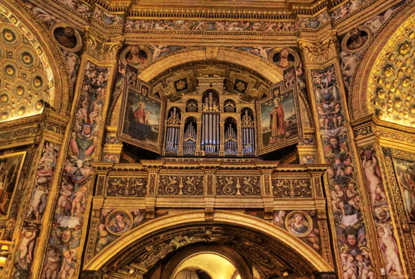 l'organo dell'incoronata
