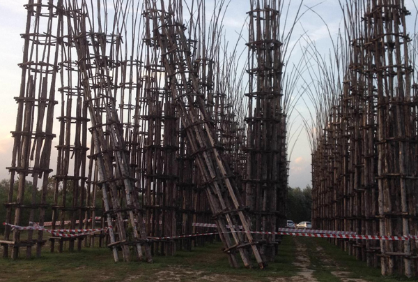 la cattedrale vegetale