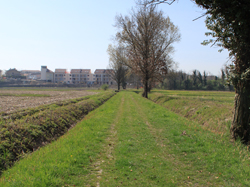 il parco del pulignano