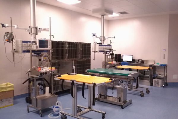 foto dell'ospedale
