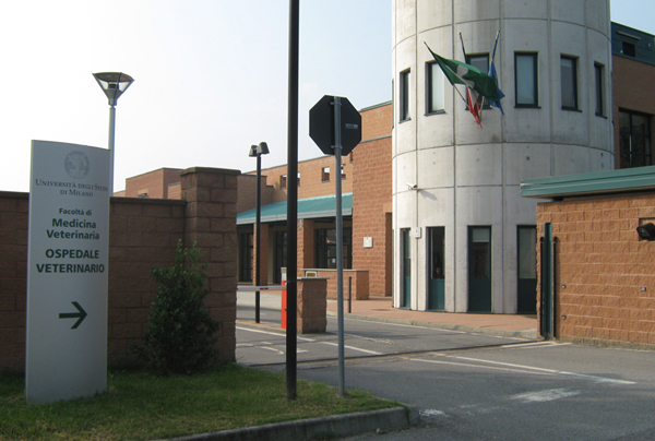 l'ingresso dell'università