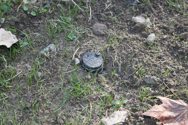 Il nuovo impianto di irrigazione nel giardino della scuola