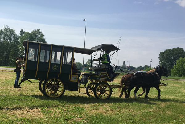 una carrozza trainata da due mule