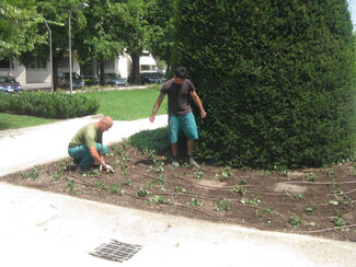 I giardinieri al lavoro per sistemare i Giardini Barbarossa