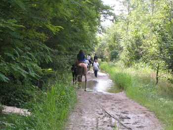 Le ragazze durante una gita a cavallo