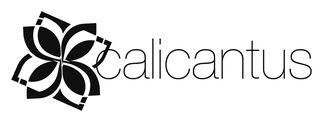 logo del calicantus