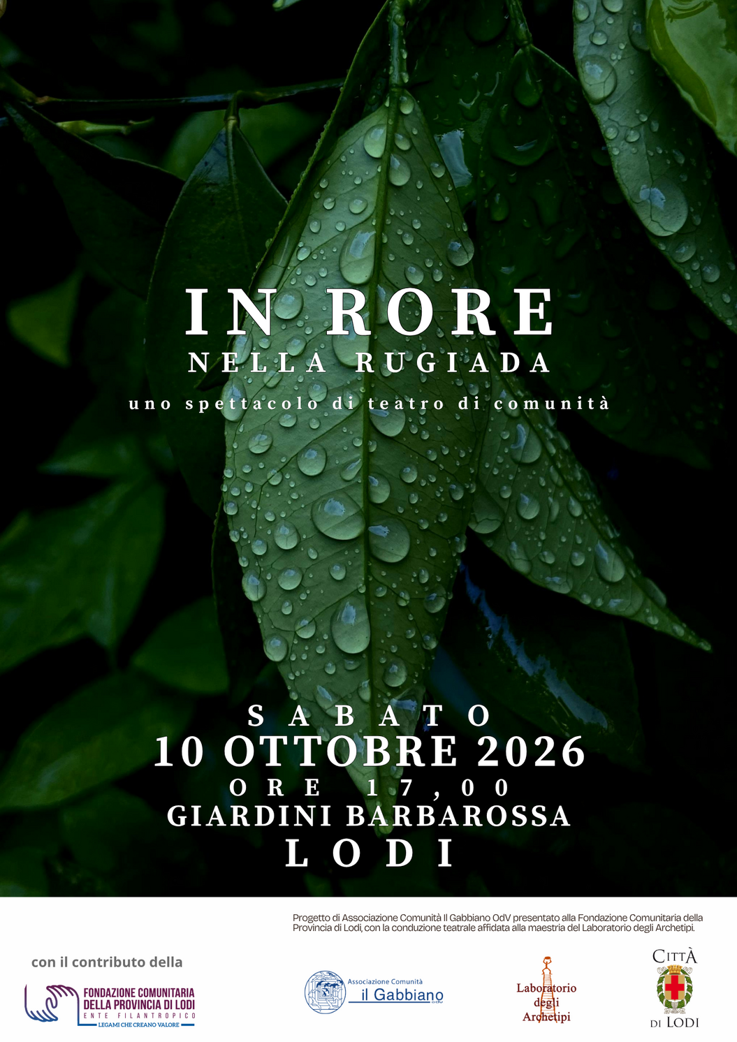 In Rore nella rugiada