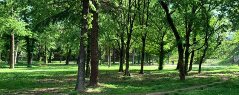 PARCO DI VILLA BRAILA