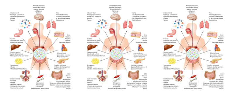 CORPO UMANO - INTESTINO E COLLEGAMENTI ORGANI VARI